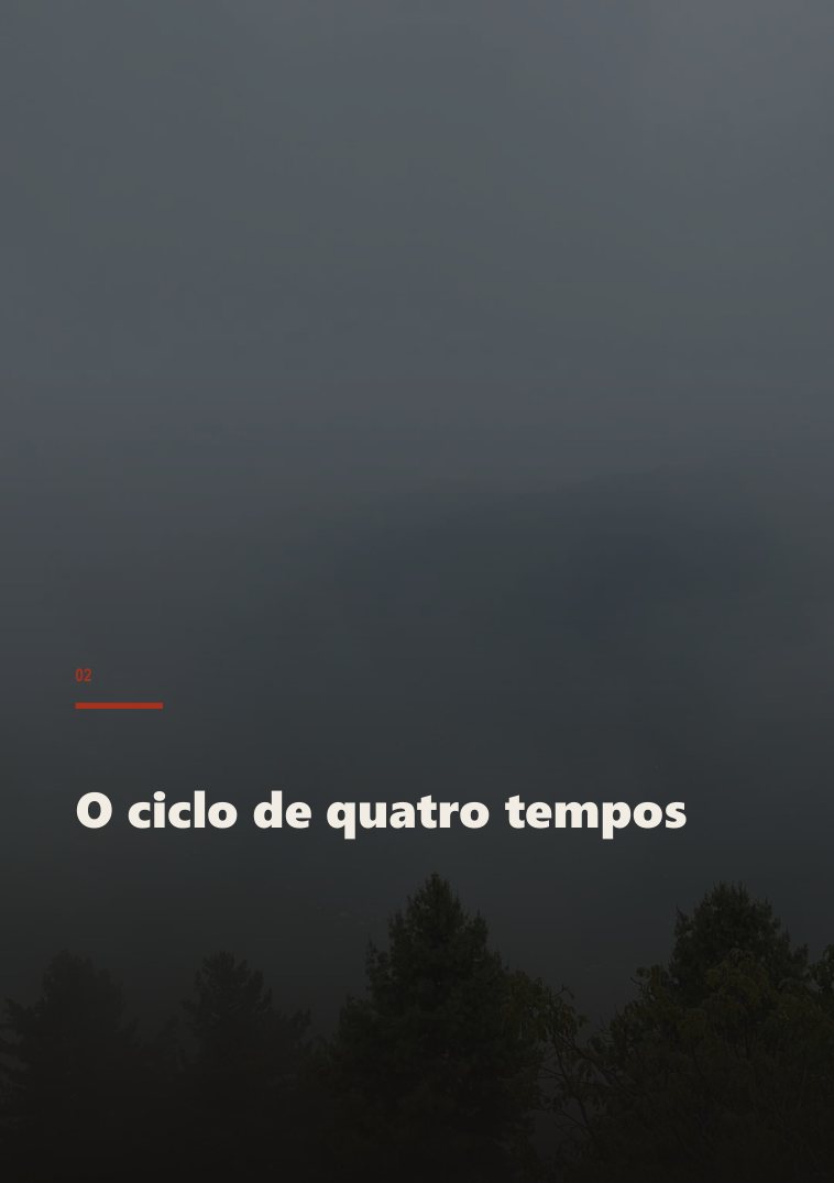Página de amostra do guia Respiração de Ferro